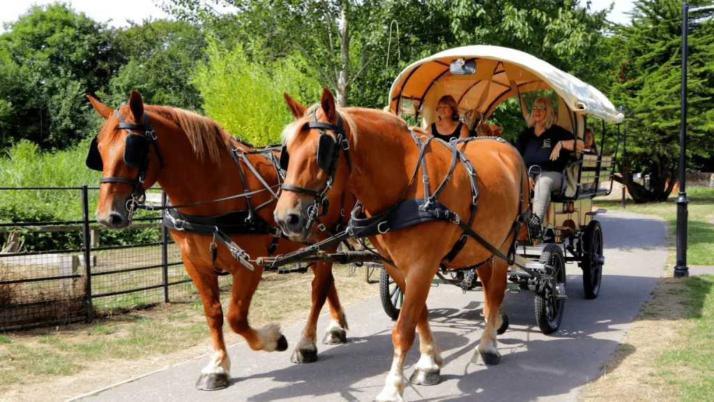Planwagen-Tour im Ruhrgebiet